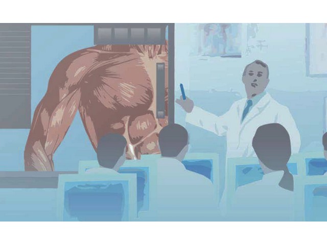 3D多视角解剖教学系统