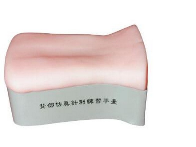 背部仿真针刺练习平台